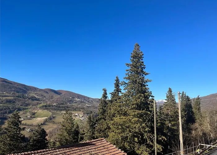La Casa Del Ciarlatano
